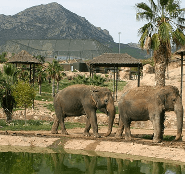 Terra Natura, Benidorm